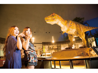 県立恐竜博物館すぐ近く！！
