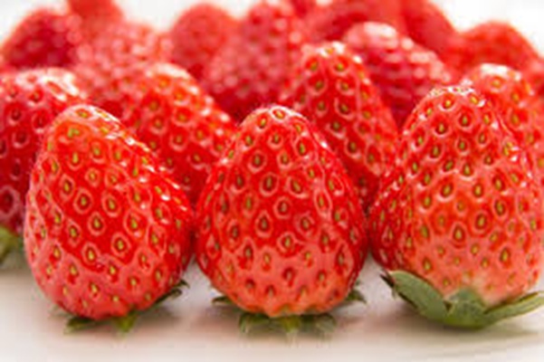 フルーツDay・ケーキDay（1/19～4/5・週替り）