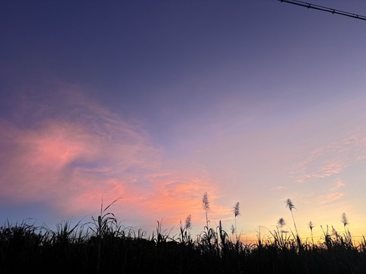 夕暮れの空も最高です