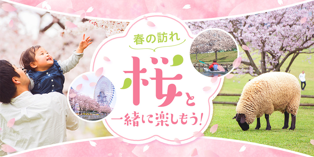 春の訪れ♪桜と一緒に楽しもう！