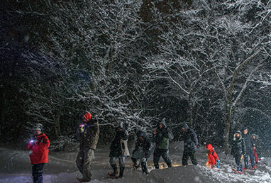 ナイトハイク　画像